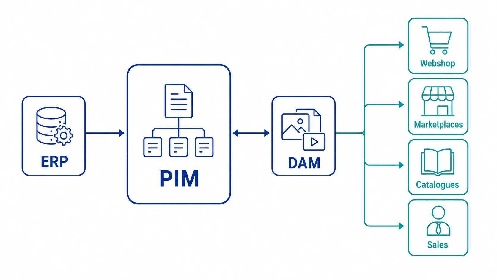ERP PIM DAM - what do you need.webp